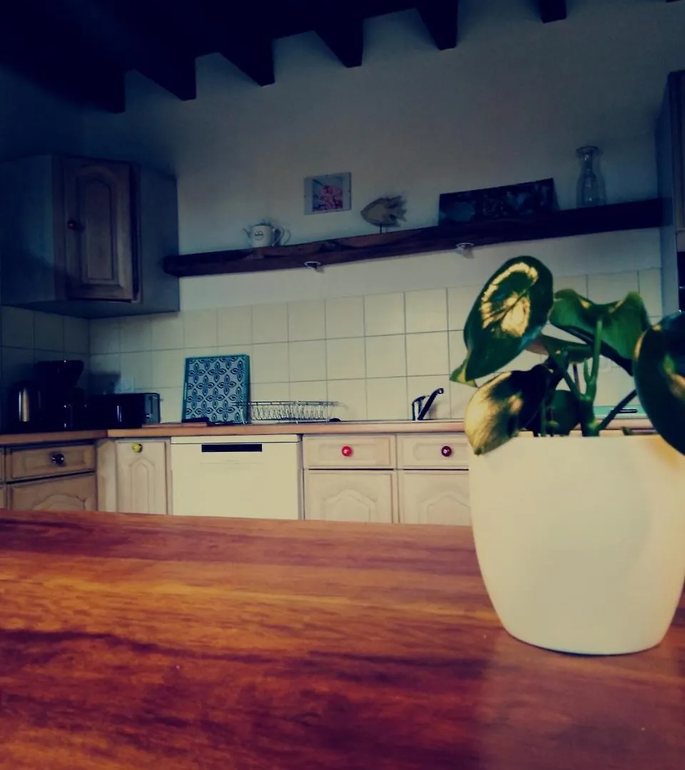 Country house La Taberge Guest House Sainte-Anne-sur-Vilaine